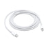 Apple USB-C To Lightning Cable (2m)