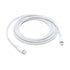 Apple USB C To Lightning Cable (1m)