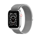 Mesh Stainless Steel Watch Loop (6876906913855)
