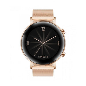 Huawei Watch GT 2 - 42mm (4779347607615)