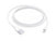 Apple Lightning to USB Cable 1M (6697672015935)